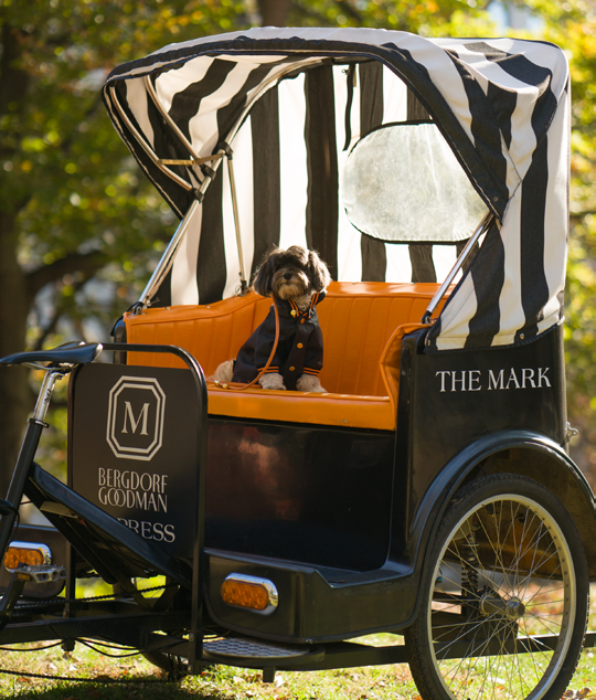 The Mark Hotel connects guests with Bergdorf Goodman. Courtesy of The Mark Hotel