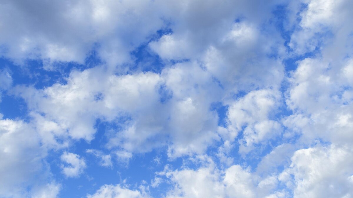    Фото: Aleksey Smyshlyaev/Global Look Press