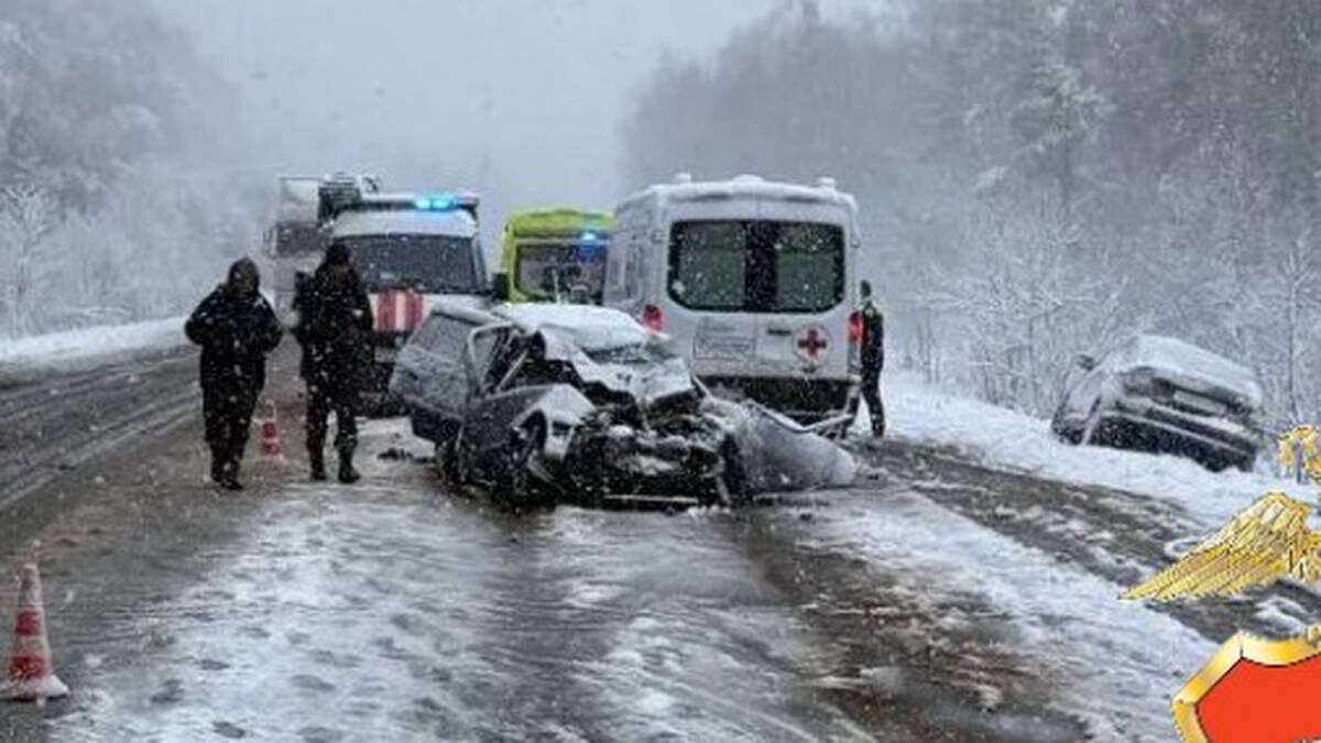    Фото: Пресс-служба ГУ МВД России по Московской области / Telegram