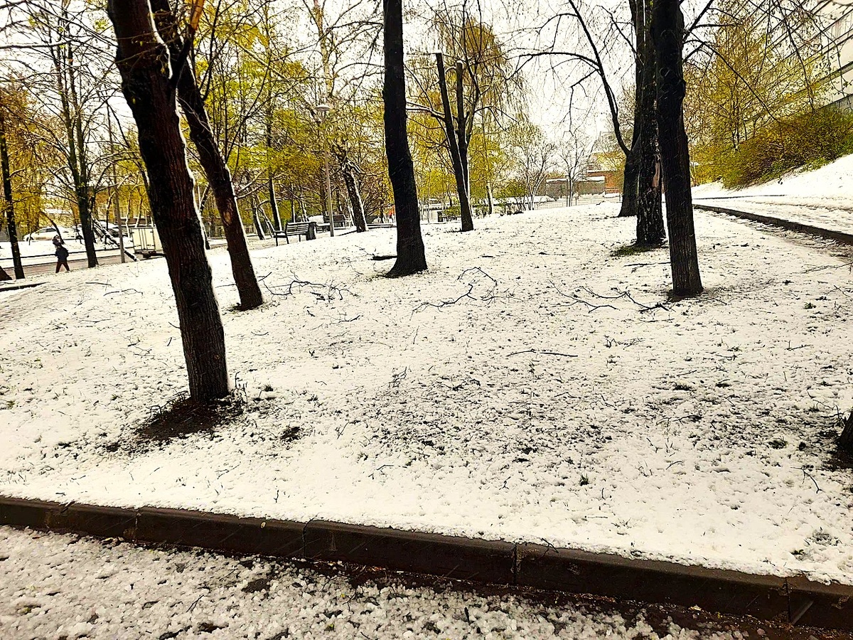 27 апреля 2026.