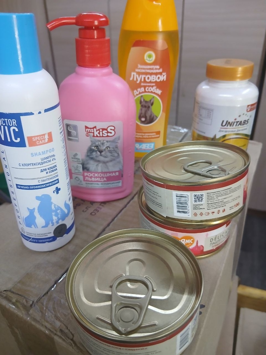 Подарки приюту