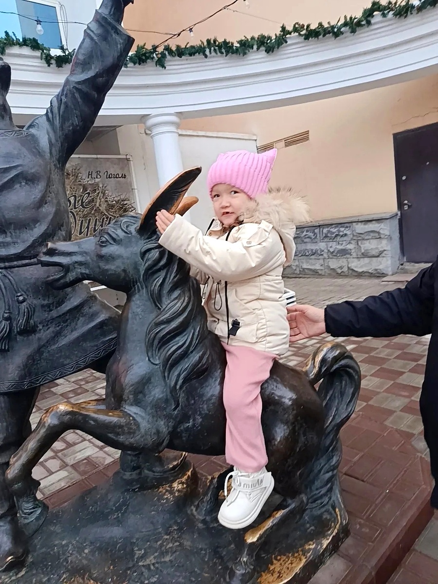 Хорошо посидеть на Коньке-Горбунке, но вот шерсть-то у него ненастоящая! 
