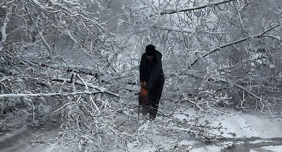    пресс-служба администрации г.о. Реутов
