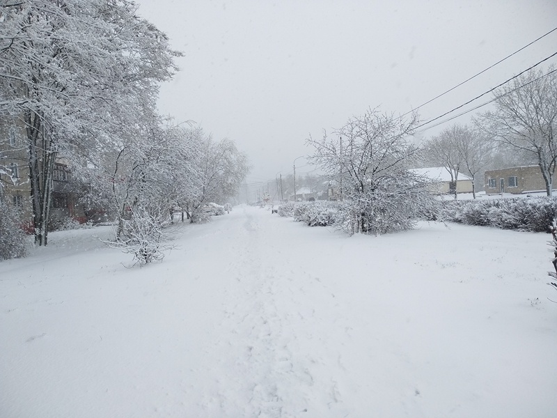 Заснеженный городок