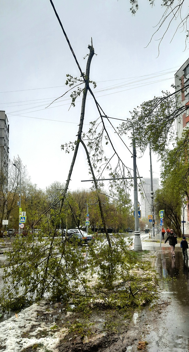 Фото автора.