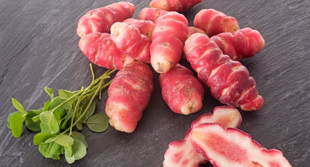 🍅🫑🥕Год за годом выращивать на дачных грядок один и тот же "ассортимент" овощных и ягодных культур может поднадоесть даже самому