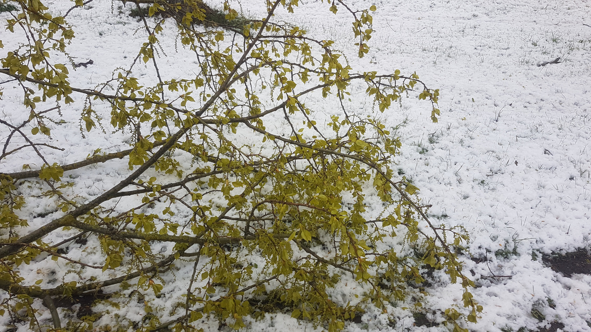 27 ������ 2026�. ������. ������ ��� ����� ������ ���� ��������. ���� ������ ������ 