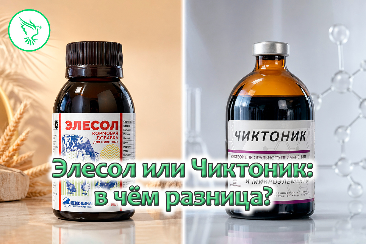 Элесол или Чиктоник: давайте разбираться