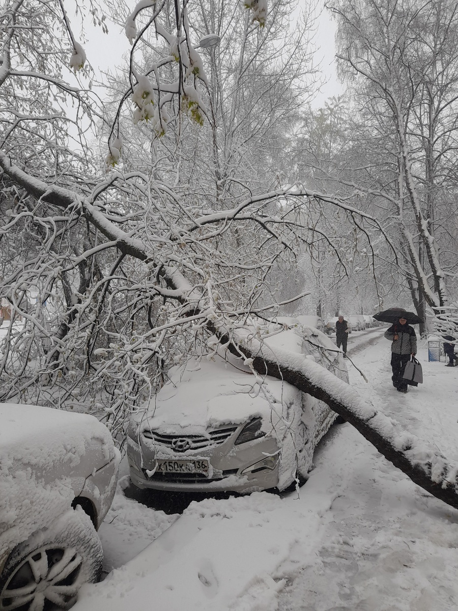 У нас сегодня апрель разбушевался)))
