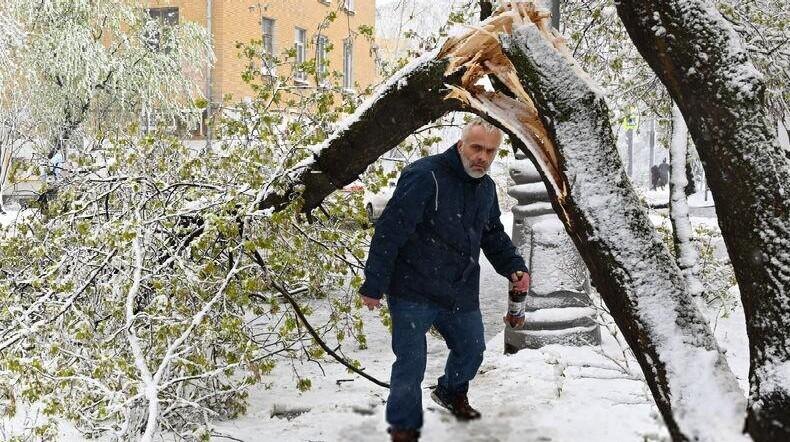 Поваленные деревья, поврежденные машины: Москва оказалась в центре снежного апокалипсиса (много фото)