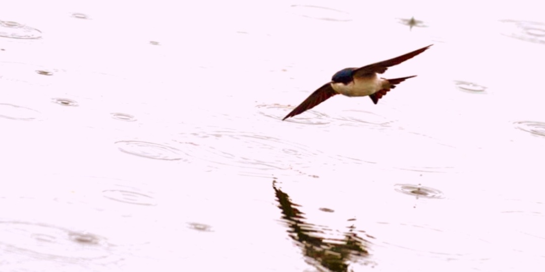 Народные приметы погоды которые не подводят рыбаков уже более 100 лет