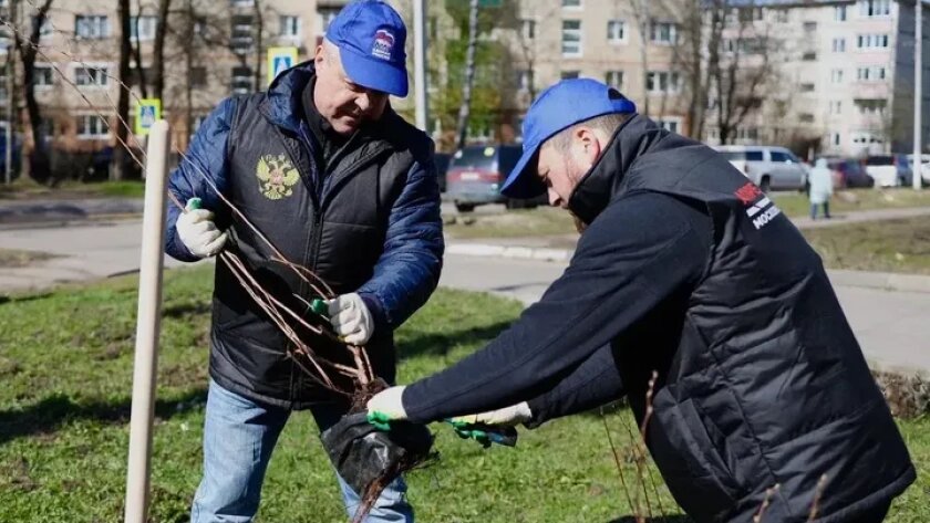 В Наро-Фоминском округе во время субботника высадили деревья и собрали десятки кубометров мусора