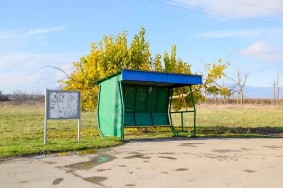    В Тольятти остановку вырвало с корнем и придавило прохожую