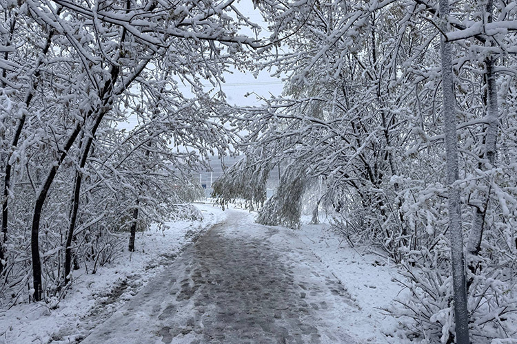    «К утру в столице сформировался снежный покров высотой 12 сантиметров. Прежний рекорд этого дня составлял 10 сантиметров и продержался 55 лет».   
Фото: Елена Колебакина-Усманова