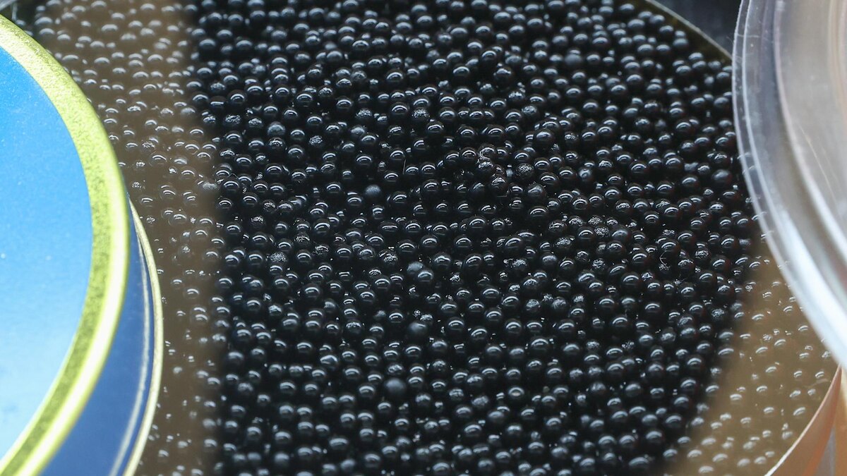    Фото: Petrov Sergey/news.ru