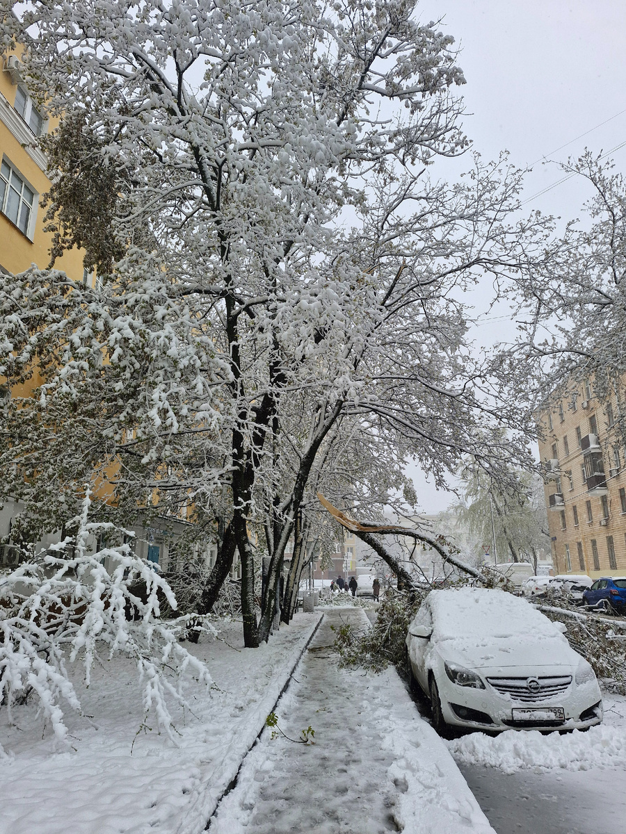 По дороге увидели вот такую картину