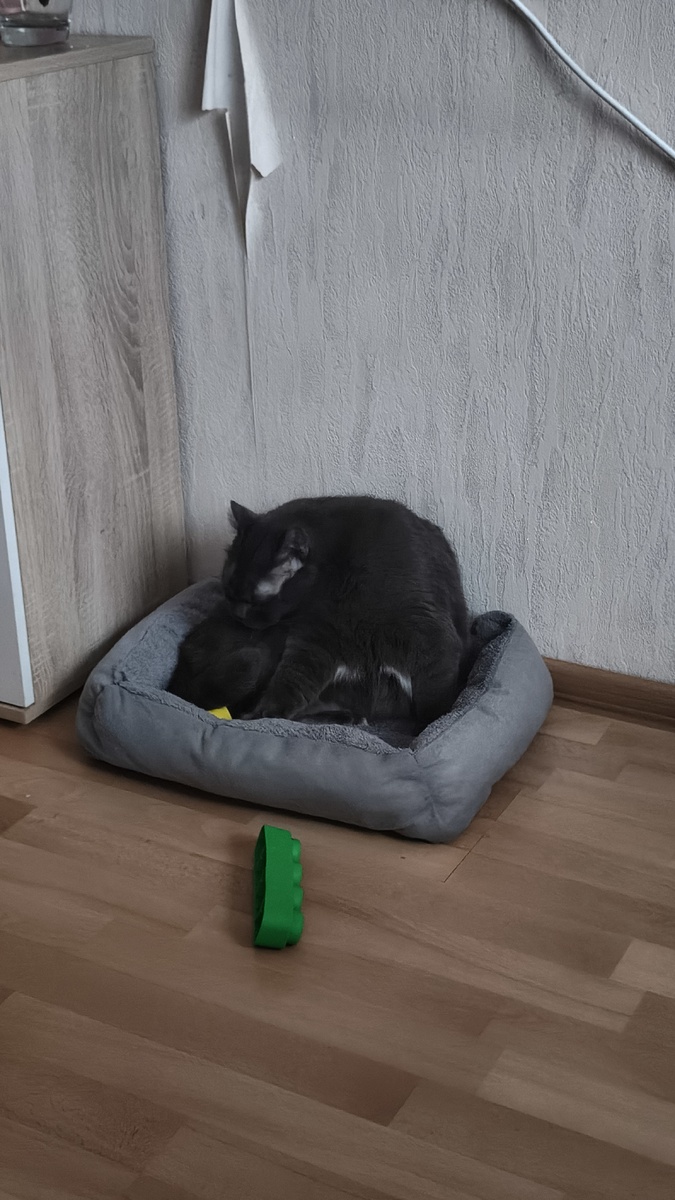 -2