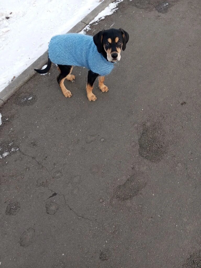 Тёме 3 месяца
