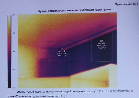 Фото: ИА Реальный Тагил