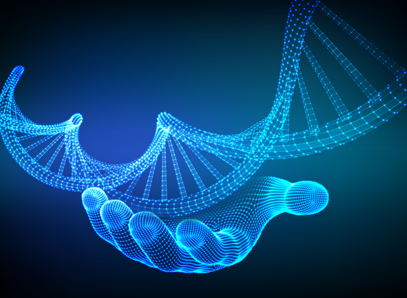 https://ru.freepik.com/free-vector/dna-sequence-hand-wireframe-dna-code-molecules-structure-mesh_8801169.htm#fromView=search&page=1&position=11&uuid=4edeacf7-b4a9-451a-a179-26da4d922295&query=%D0%B3%D0%B5%D0%BD%D1%8B