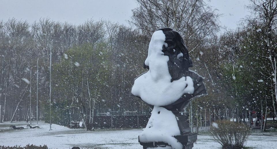    Арина Кузнецова