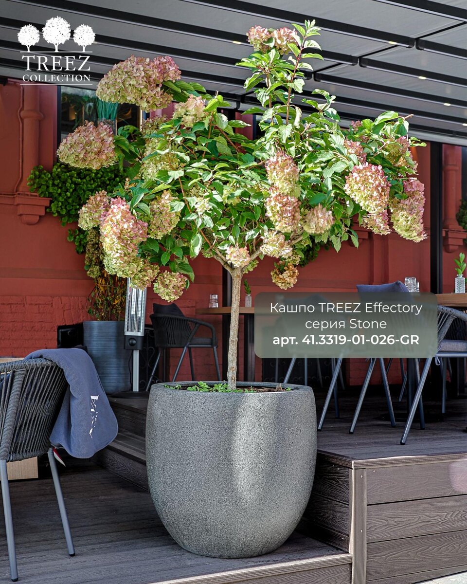 Кашпо TREEZ Collection