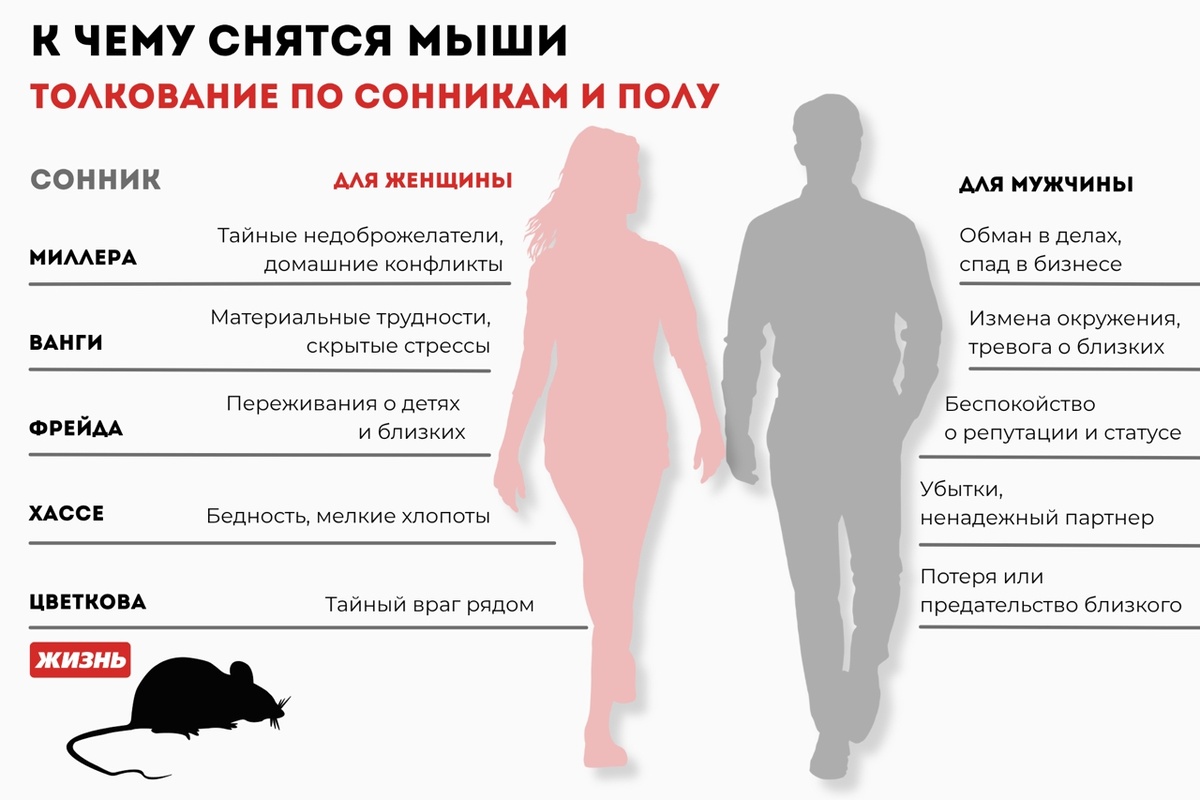    "К чему снятся мыши: толкование по сонникам и полу. Коллаж: Гавришева Анна"