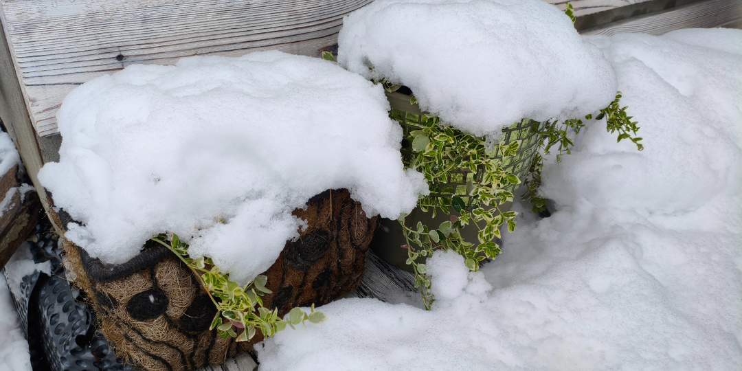 Опять зима, но чудеса не кончаются, если их видеть
