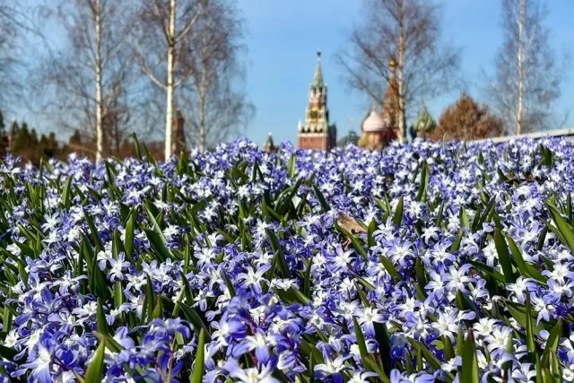    Какая погода будет в Москве 9 мая 2026?