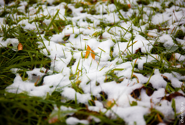    Сегодня днем осадки продолжатся, усилится ветер. Максимальная температура - +4 градуса.