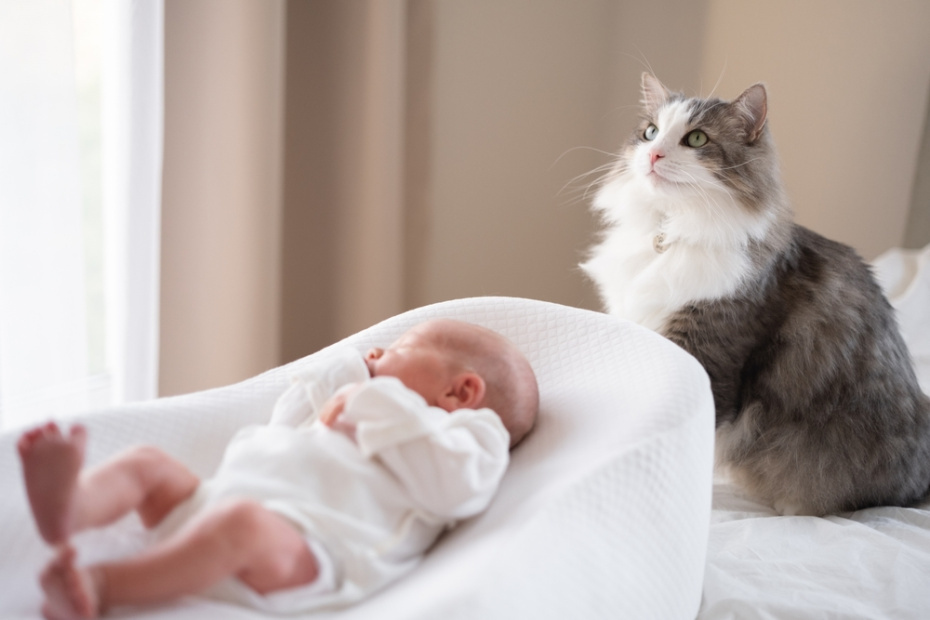    Shutterstock/FOTODOM