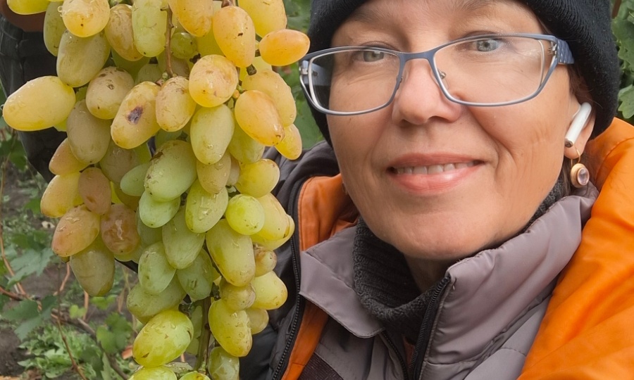 👌ПРАВИЛЬНАЯ ЯМА ДЛЯ ПОСАДКИ ВИНОГРАДА🍇
