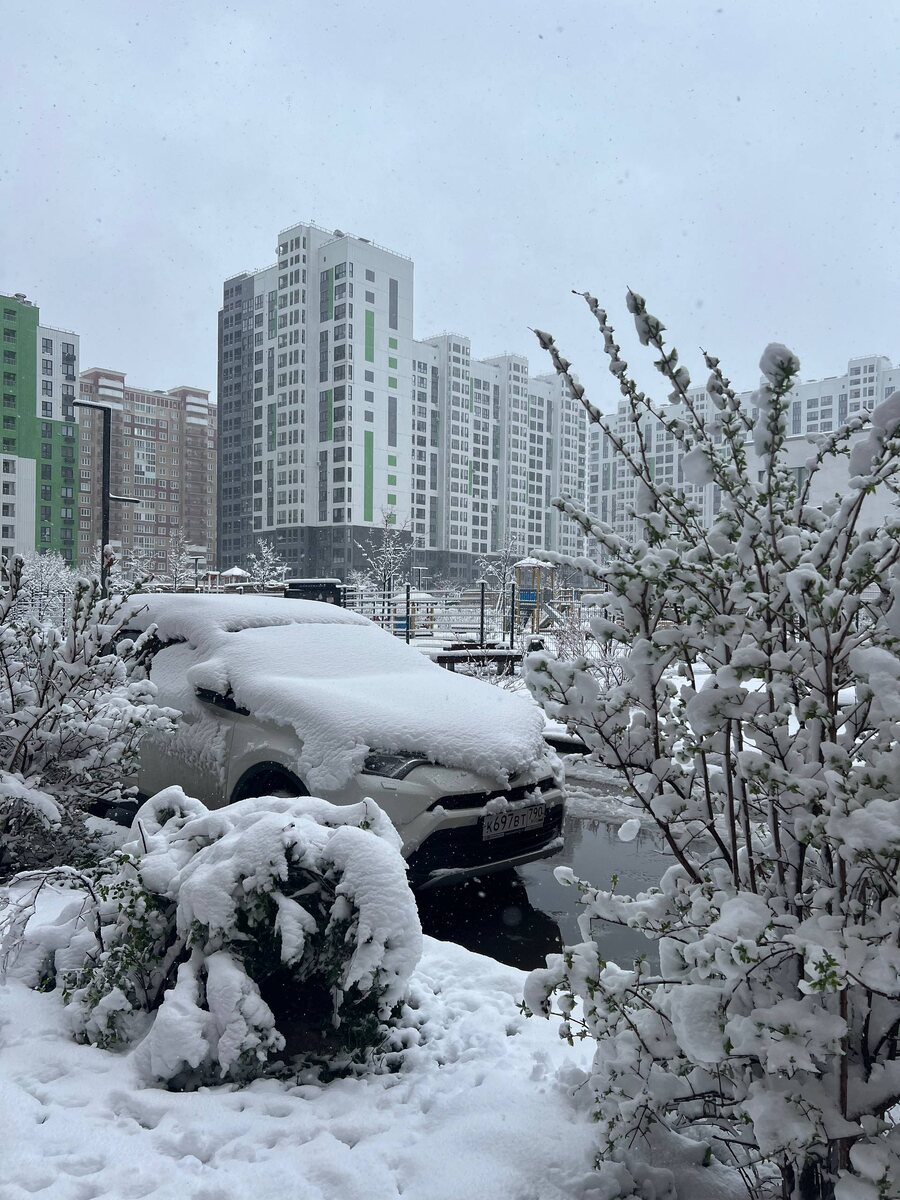 Утро 27 апреля 2026 года. р.п. Дрожжино, Московская область. Фото из личных архивов автора.
