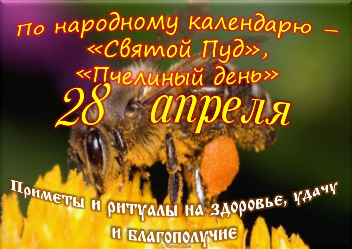 Встречаем новый день