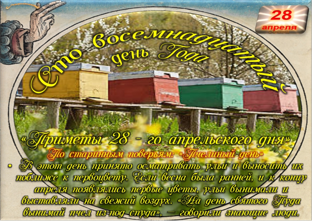 Встречаем новый день