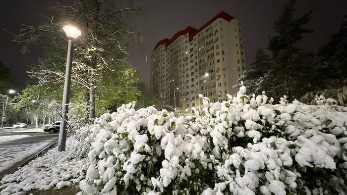 Обложка © Life.ru