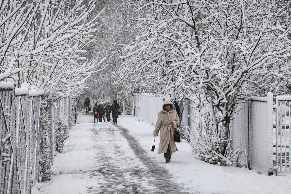    Алексей Белкин/NEWS.ru