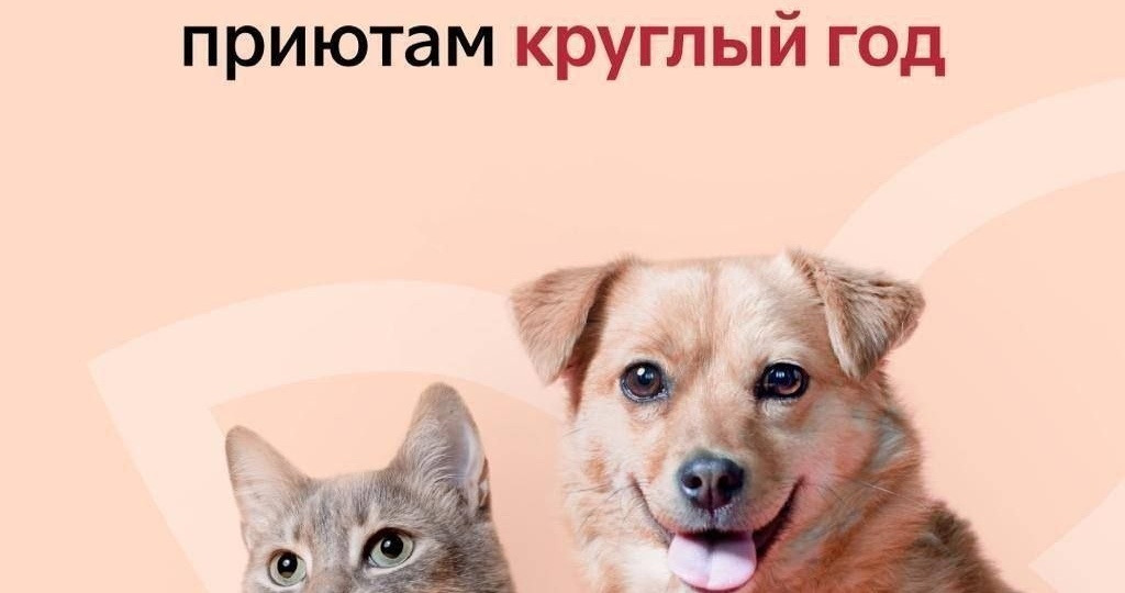 Станьте частью доброго дела вместе с акцией «Добролап