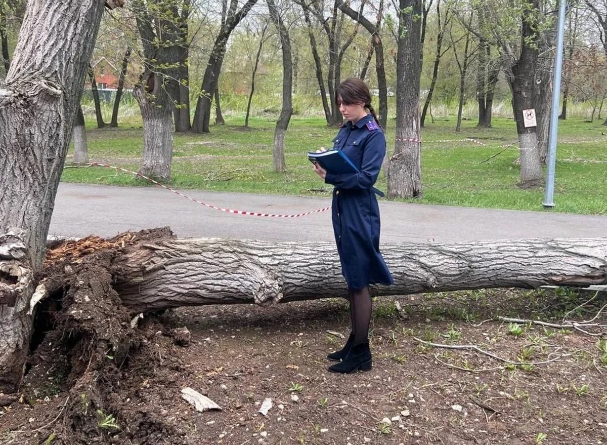    СУ СКР по Самарской области