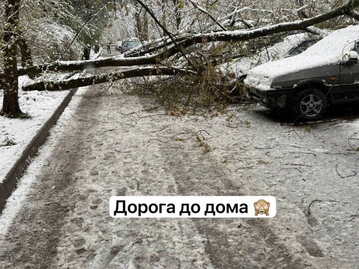 Немного о погоде в Москве