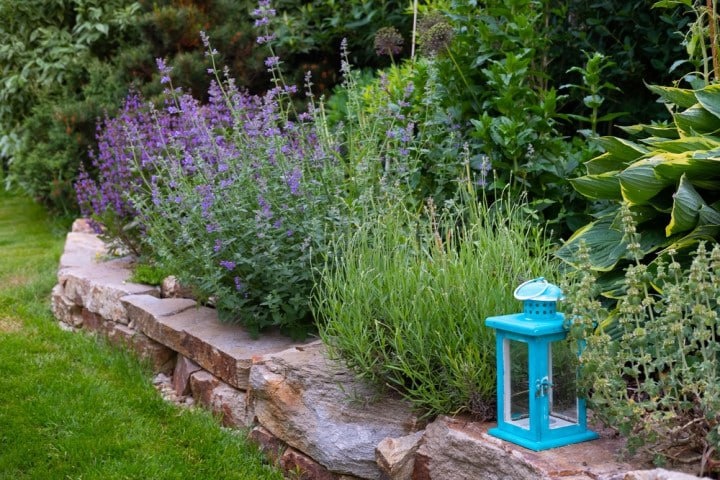 🌸 Омолодить цветник можно несколькими способами: изменить размер или форму, добавить или убрать ограждение, поменять растения местами