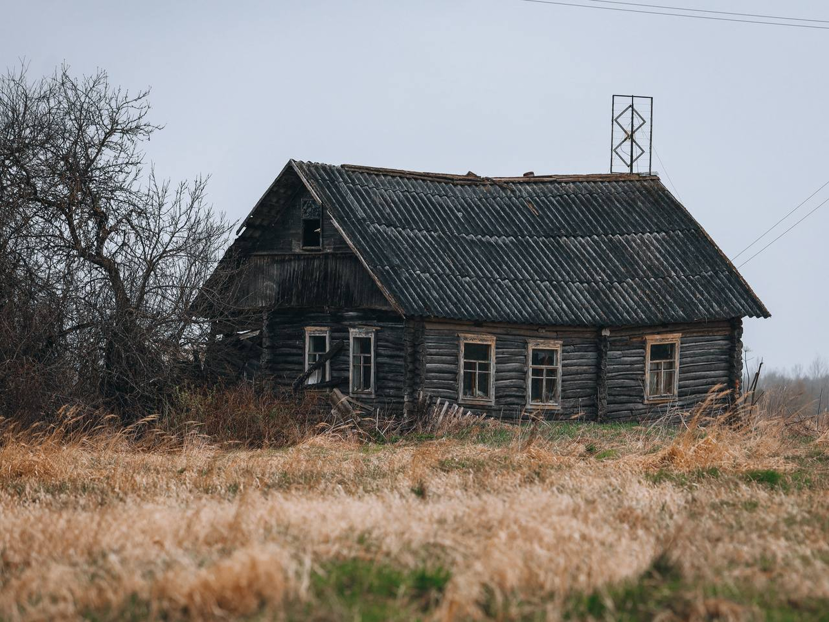 Псковская область, фото автора