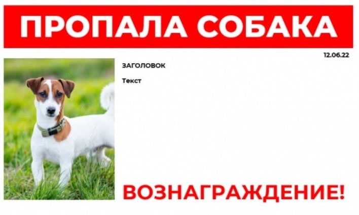 Как вы понимаете, фото приведено для иллюстрации