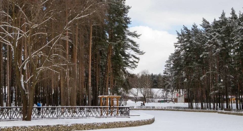    парки г.о. Домодедово