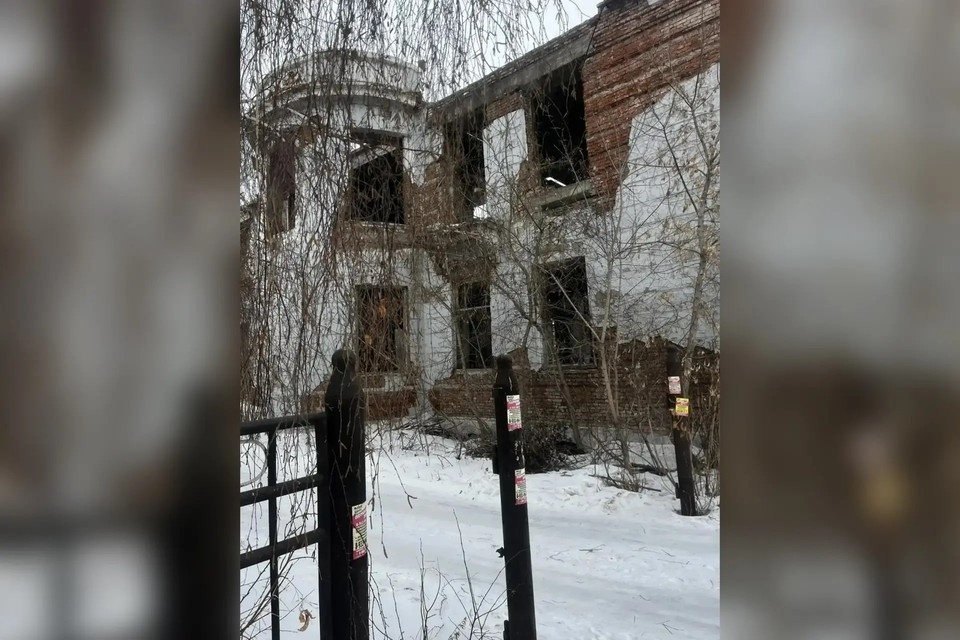    Житель Ачинска престанет перед судом за издевательства над собакой. Фото: краевая прокуратура