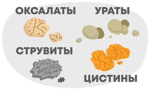 https://averia.ru/wiki/urolithiasis-in-cats-symptoms-and-treatment