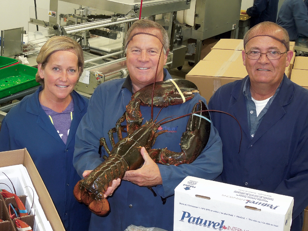 Пожилые омары встречаются так же часто, как слова на букву «Ы». Фотография: New Brunswick / Nouveau-Brunswick, Public domain.