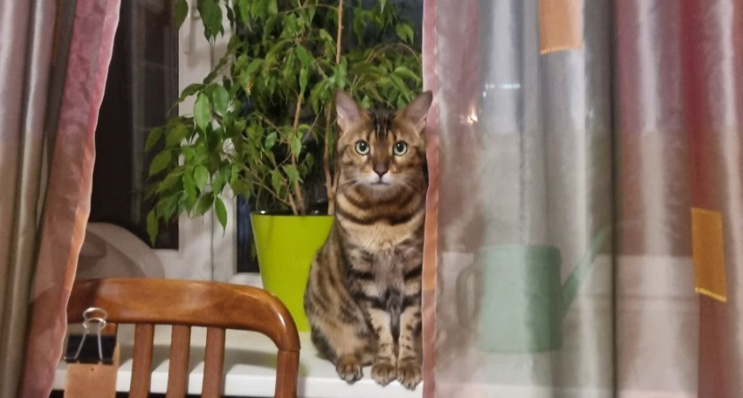 Фото из Интернета. 