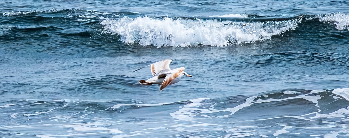 @Ioki Dian/Shutterstock