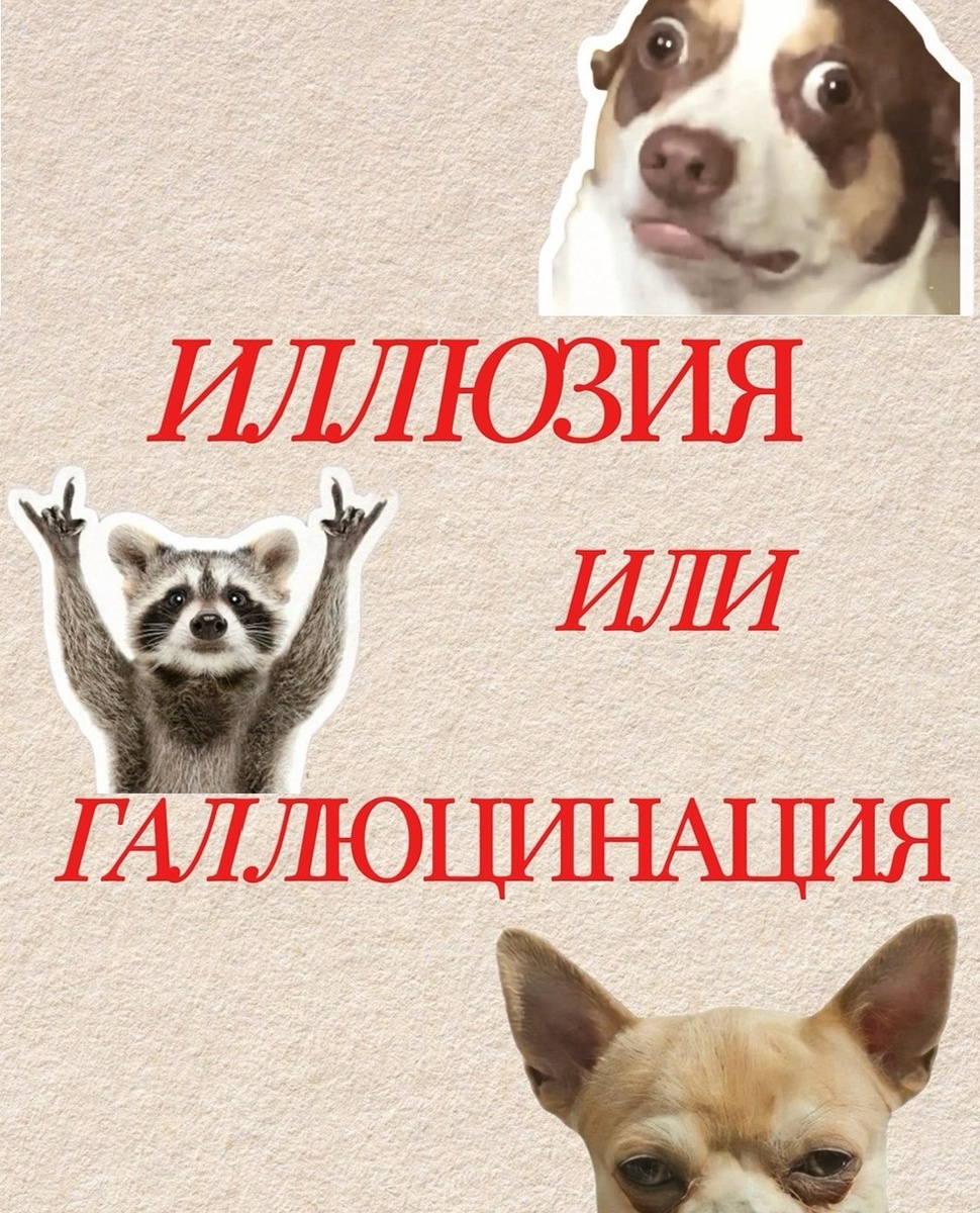 Иллюзия или галлюцинация